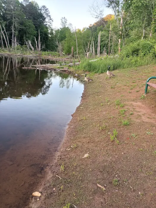 Pine Lake Community Picture 1