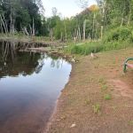 Pine Lake Community