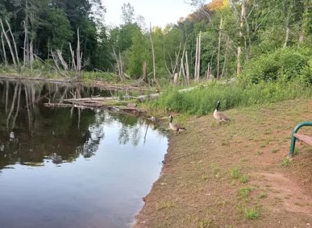 Pine Lake Community