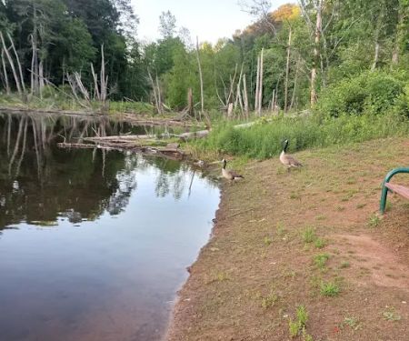 Pine Lake Community
