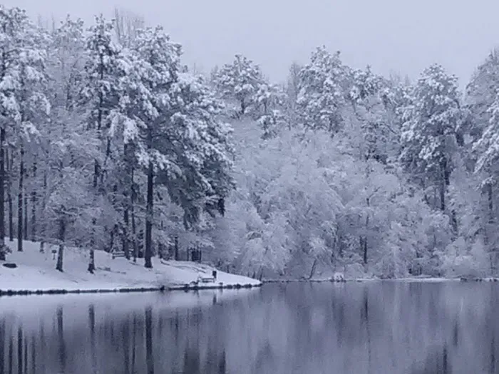 Pine Lake Community Picture 3
