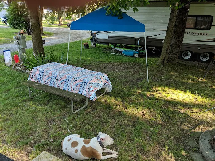 JT'S Lakeside Campground Picture 7