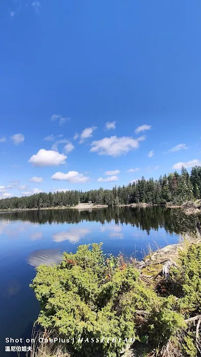 Shoe Lake Public Access Picture 3
