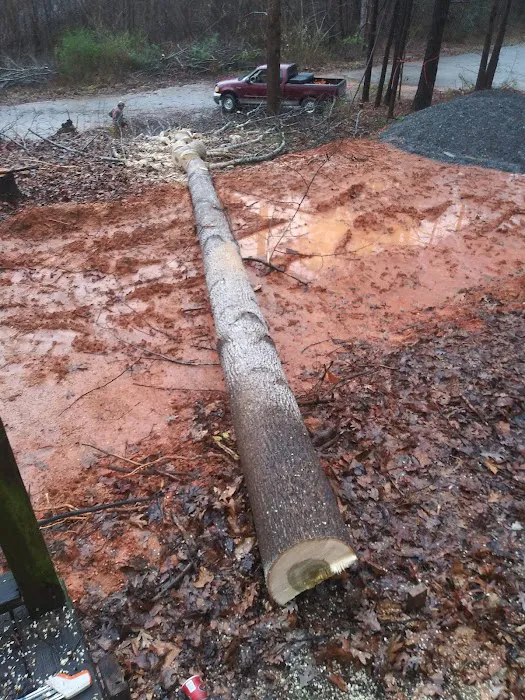 Dogwood Hills Mobile Home Comm Picture 1