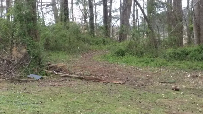 Green Acres Picture 2