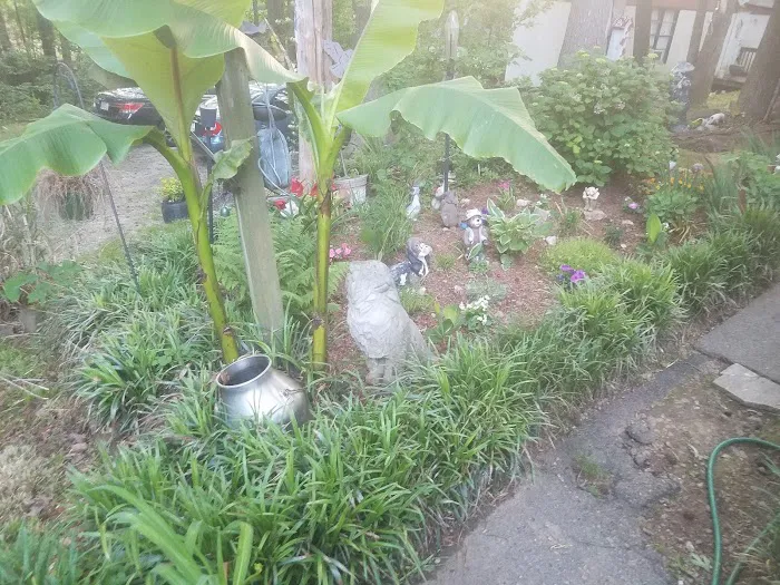 Green Acres Picture 1