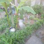 Green Acres