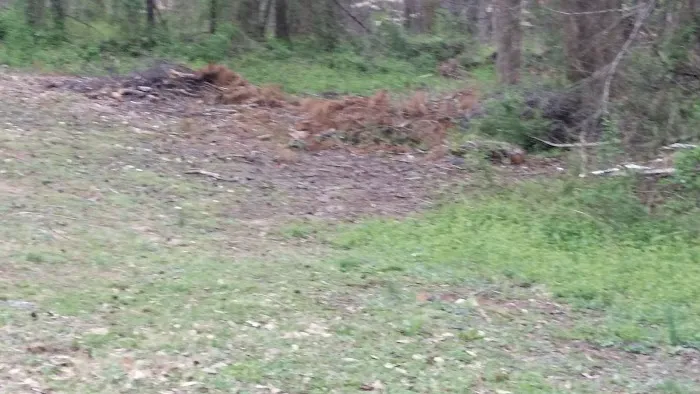 Green Acres Picture 3
