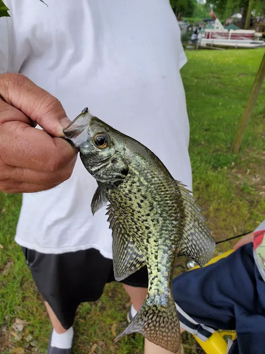 Camp and Fish LLC Picture 7