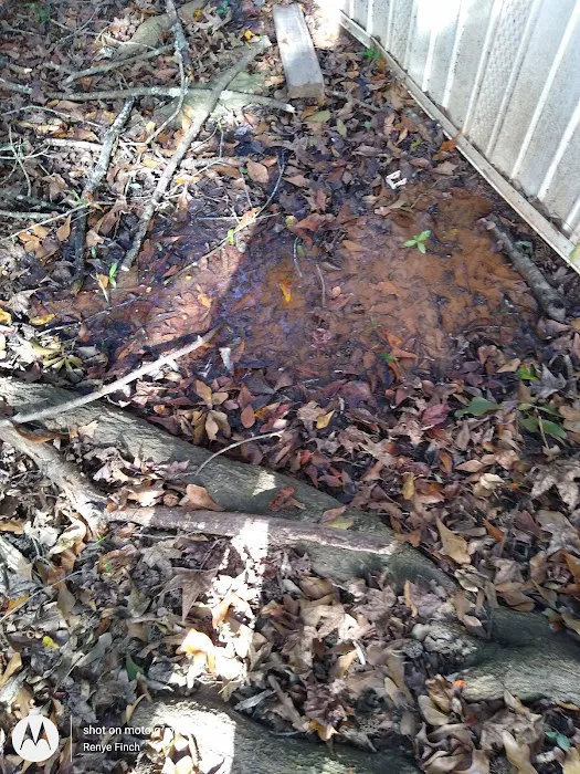 Pine Glen Park Picture 6