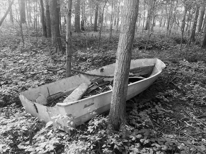 Camp Davis Picture 2