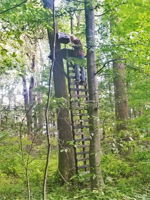 Camp Davis Picture 6