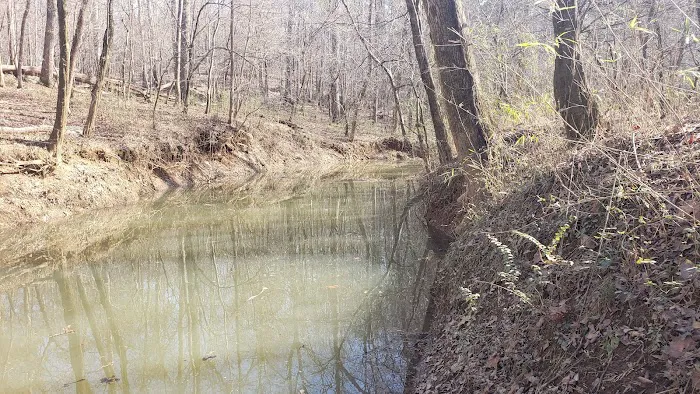 Middle Creek Landing Picture 9