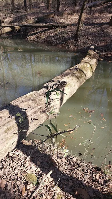Middle Creek Landing Picture 3