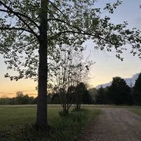 Prices Bridge Camping on Lake Murray ico