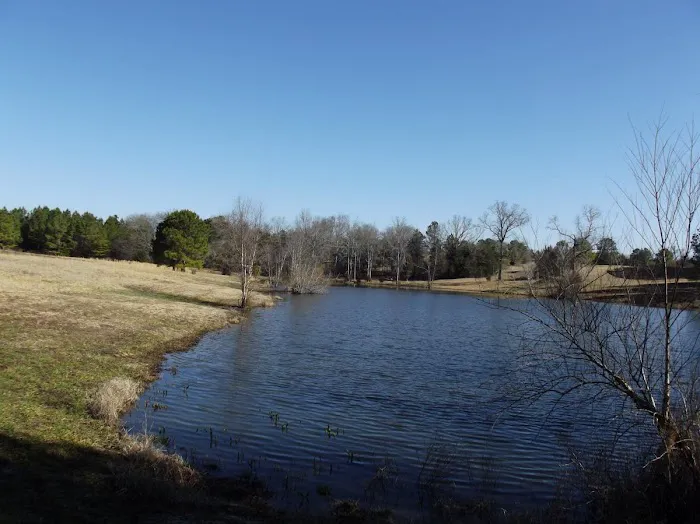 Pond View Campground Picture 5