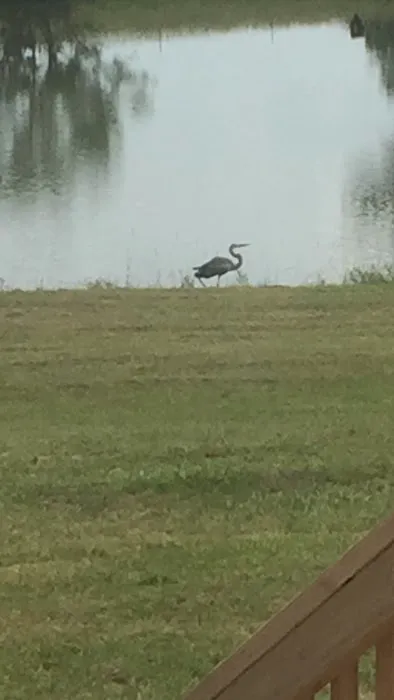 Pond View Campground Picture 7