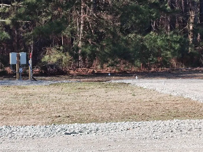 Leach Homestead campground Picture 3