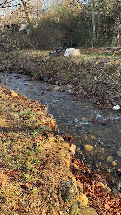 Stoney Creek Oasis Picture 1