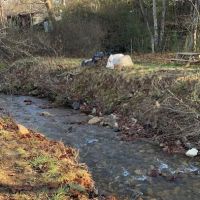 Stoney Creek Oasis ico