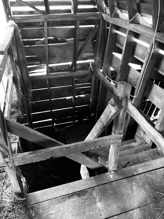Stoney Creek Oasis Picture 6