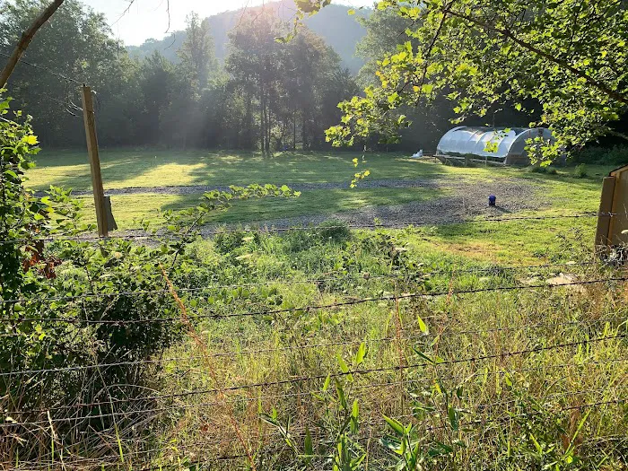Stoney Creek Oasis Picture 9