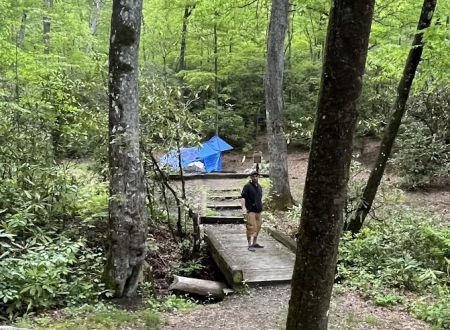 Wash Creek Campsite