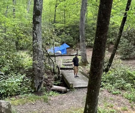 Wash Creek Campsite