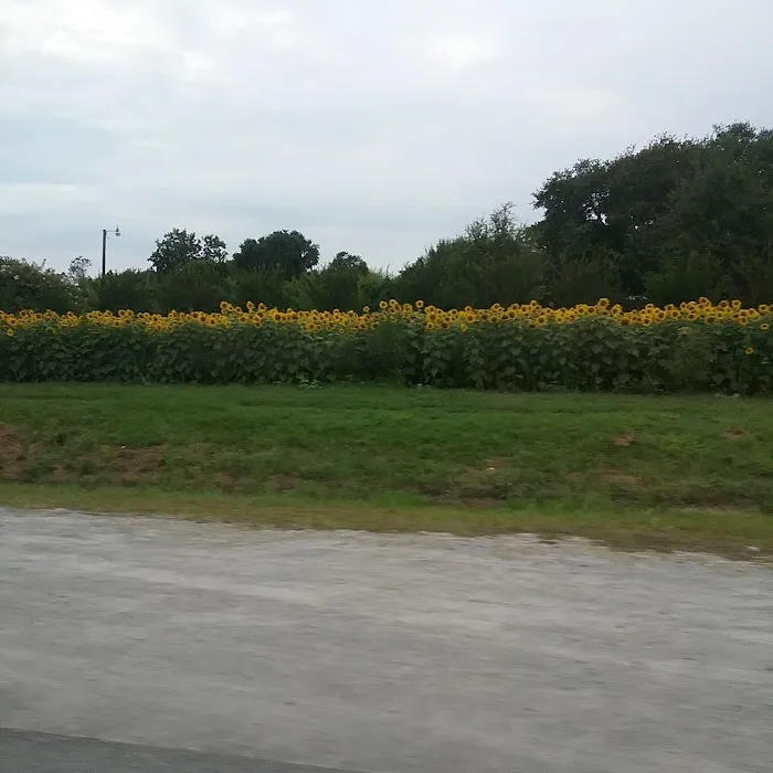 Vacation Village Picture 6