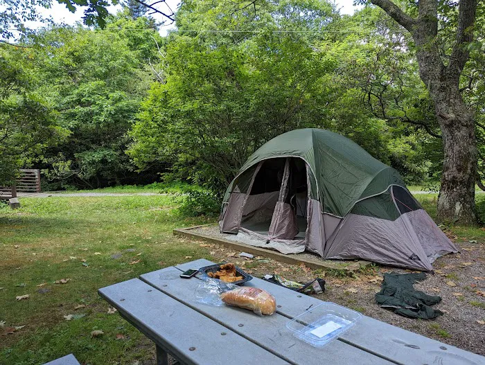 Mount Pisgah Campgrounds Picture 3