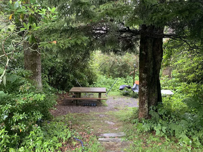 Mount Pisgah Campgrounds Picture 5