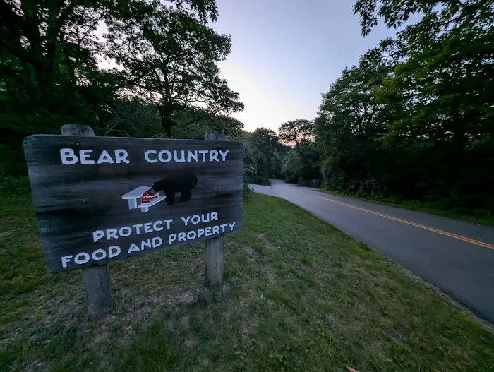 Mount Pisgah Campgrounds Picture 9