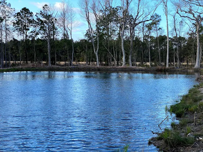 Osprey Landing RV Resort Picture 8