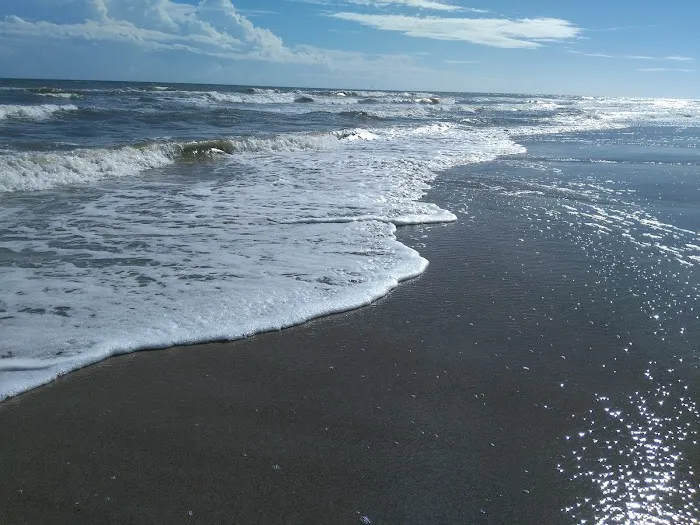 Boardwalk RV Park Picture 5