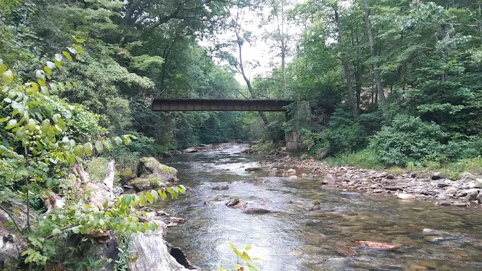 Laurel Bank Campground Picture 2