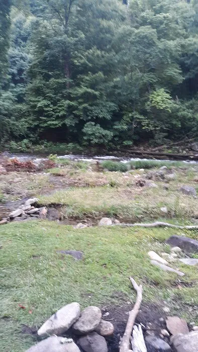 Laurel Bank Campground Picture 5