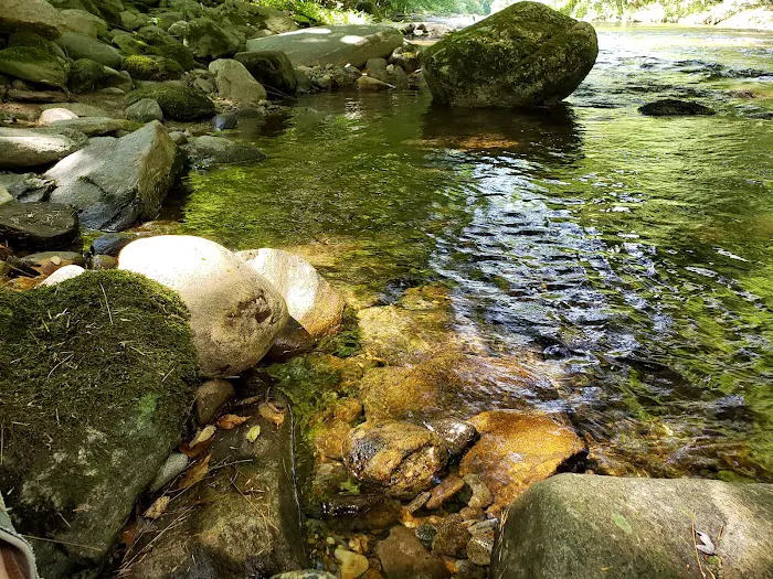 Laurel Bank Campground Picture 6