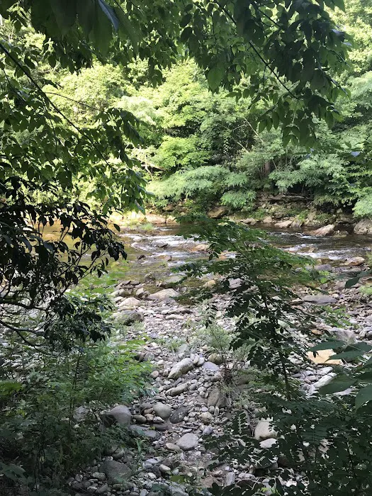 Laurel Bank Campground Picture 7