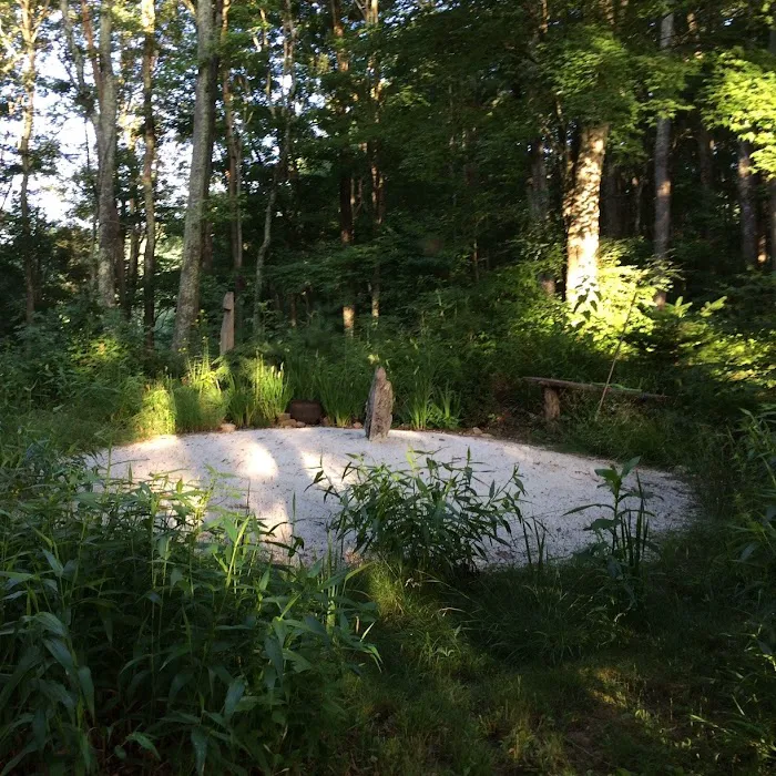 Green Heart Forest Picture 3