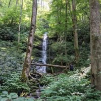 Harmon Den Horse Camp NC ico