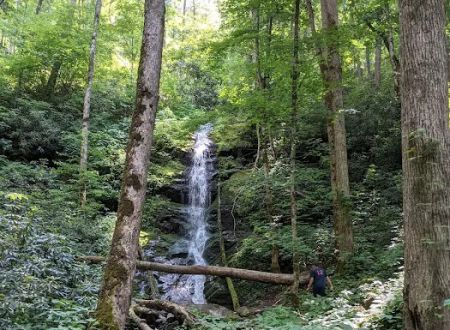 Harmon Den Horse Camp NC