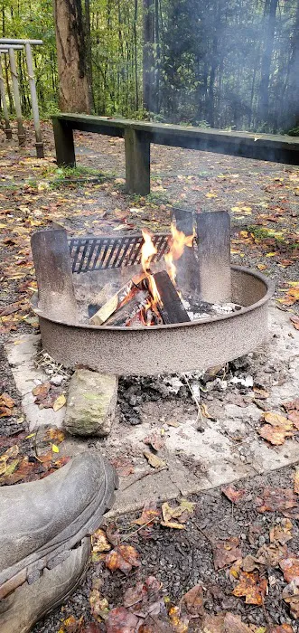 Harmon Den Horse Camp NC Picture 2