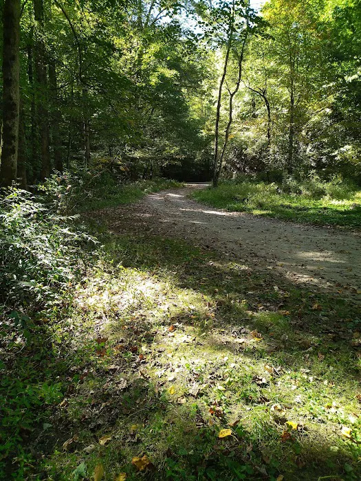 Harmon Den Horse Camp NC Picture 3