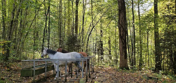 Harmon Den Horse Camp NC Picture 5