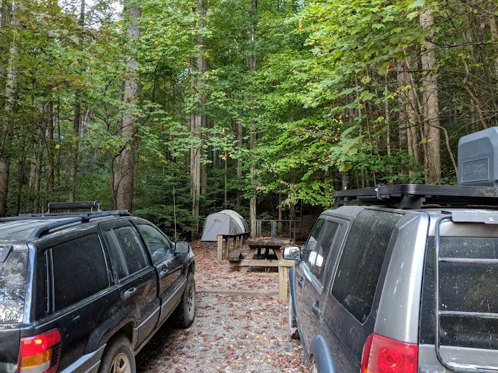 Harmon Den Horse Camp NC Picture 4