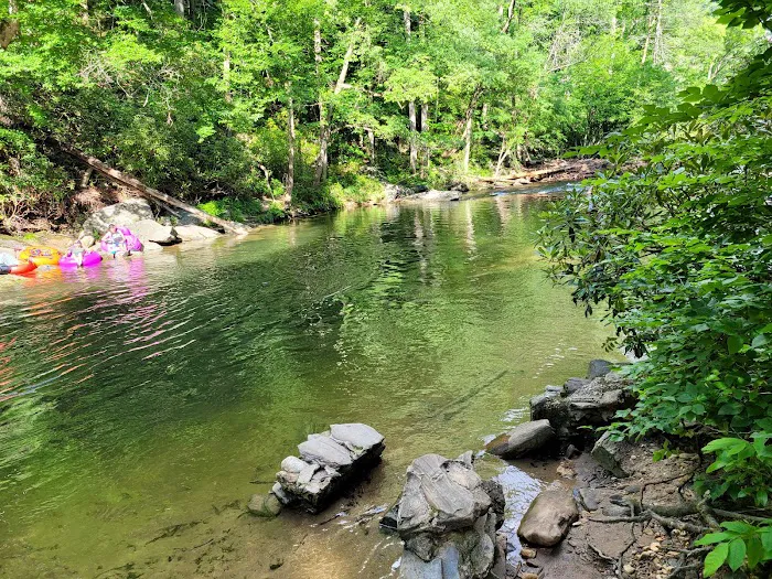 Davidson River Campground Picture 9