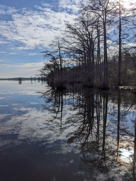 Cypress Landing RV Park Picture 2