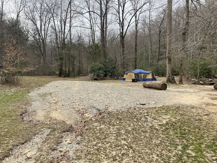 White Pine Group Camp Site Picture 1