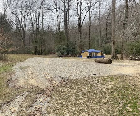 White Pine Group Camp Site