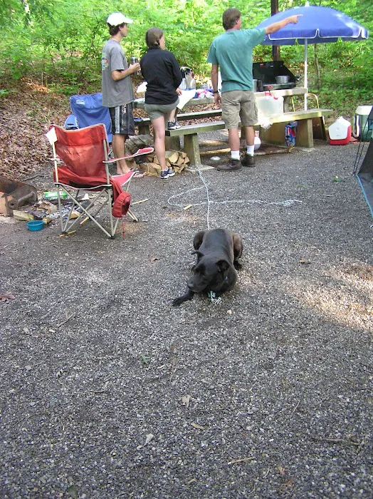 White Pine Group Camp Site Picture 6